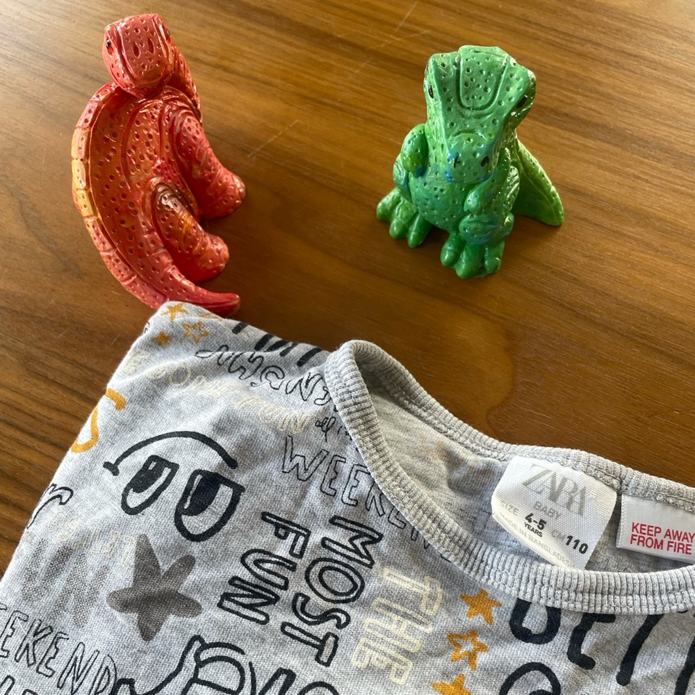 T-shirt Zara, size 4-5 (toddler)